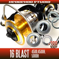 16 BLAST  for 4500,4500H.5000H Full Bearing Kit