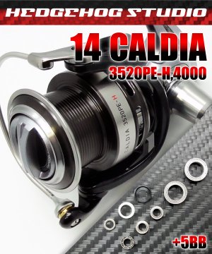 Photo1: 14CALDIA 3520PE-H,4000 Full Bearing Kit