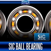 [ZPI] Antirust Sic Ceramic Ball Bearing