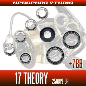 Photo2: 17 THEORY 2508PE-DH用 MAX14BB  Full Bearing Kit