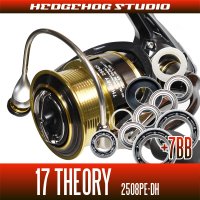 17 THEORY 2508PE-DH用 MAX14BB  Full Bearing Kit