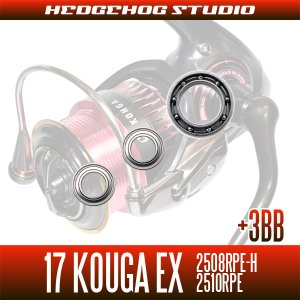 Photo2: 17 紅牙 KOHGA EX 2508RPE-H, 2510RPE  Full Bearing Kit