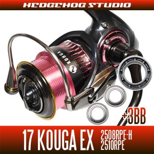 Photo1: 17 紅牙 KOHGA EX 2508RPE-H, 2510RPE  Full Bearing Kit