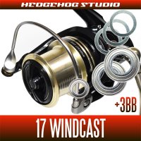 17 WIND CAST 4000, 4000QD, 4500, 5000, 5500, 6000  Full Bearing Kit