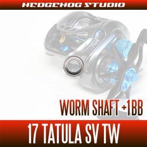 Photo2: [DAIWA] Worm Shaft Bearing kit for 17 TATULA SV TW (+1BB)