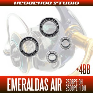 Photo2: 15 EMERALDAS AIR 2508PE-DH, 2508PE-H-DH  Full Bearing Kit