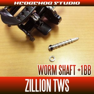 Photo1: [DAIWA] Worm Shaft Bearing kit for ZILLION TWS(USA MODEL) (+1BB)