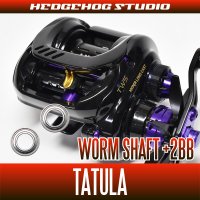 [DAIWA] Worm Shaft Bearing kit for TATULA (+2BB)