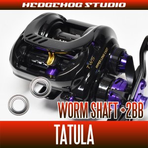 Photo1: [DAIWA] Worm Shaft Bearing kit for TATULA (+2BB)