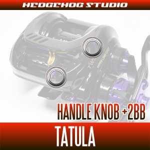 Photo2: [DAIWA] Handle Knob Bearing kit for TATULA (+2BB)