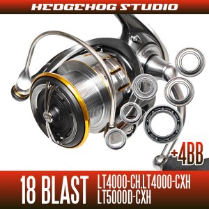 Photo1: 18 BLAST LT4000-CH, LT4000-CXH, LT5000D-CXH MAX10BB Full Bearing Kit