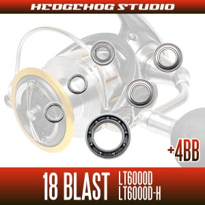 Photo2: 18 BLAST LT6000D, LT6000D-H MAX10BB Full Bearing Kit