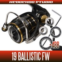 19 BALLISTIC FW  LT1000S-P, LT2000SS-XH, LT2500S-C, LT2500S-CXH Full Bearing Kit