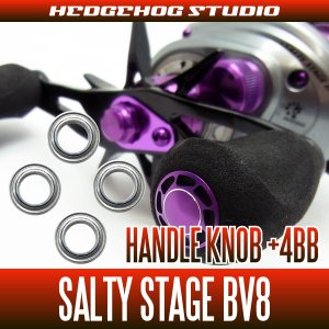 Photo2: [ABU] Handle Knob Bearing Kit for SALTY STAGE BV8