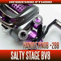 [ABU] Handle Knob Bearing Kit for SALTY STAGE BV8