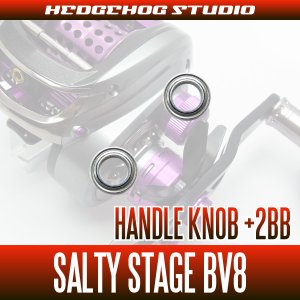 Photo3: [ABU] Handle Knob Bearing Kit for SALTY STAGE BV8