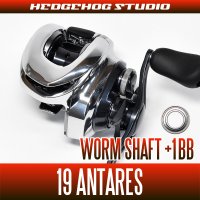 [SHIMANO] Worm Shaft Bearing Kit for 19 ANTARES (+1BB)