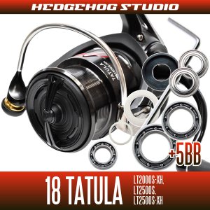 Photo1: [DAIWA] 18 TATULA LT2000S-XH, LT2500S, LT2500S-XH Full Bearing Kit
