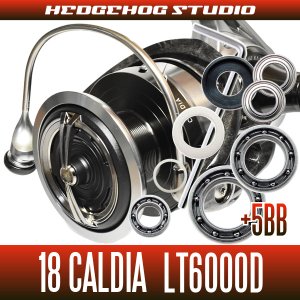 Photo1: 18 CALDIA LT6000D Full Bearing Kit