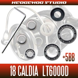 Photo2: 18 CALDIA LT6000D Full Bearing Kit