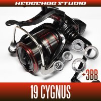 19 CYGNUS LBD 2500LBD, 2500H-LBD, 3000LBD, 3000H-LBD for MAX8BB full bearing tuning kit [surf fishing, Ukifukase fishing and the Grenadines, Medina]