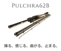 [TRANSCENDENCE] Pulchra 62B