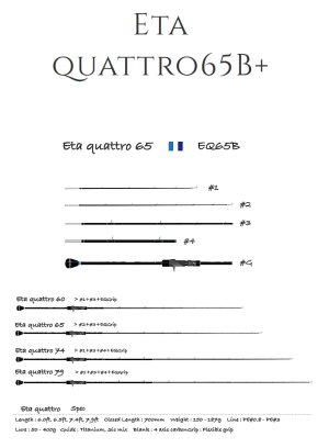 Photo1: [TRANSCENDENCE] Eta quattro 65B+ for Offshore Rod
