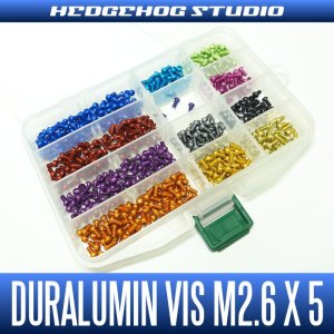 Photo1: Duralumin Screw for handle retainer (M2.6 x 5mm) - 1 piece