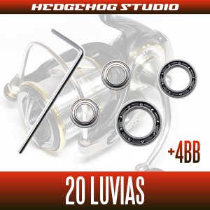 Photo2: [Daiwa] 20 LUVIASLT2500S-DH [double handle model] for MAX12BB full bearing tuning kit