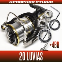 [Daiwa] 20 LUVIASLT2500S-DH [double handle model] for MAX12BB full bearing tuning kit