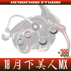 Photo2: [DAIWA] 18 GEKKABIJIN MX(月下美人 MX) LT1000S-P, LT2000S-P, LT2000S MAX8BB Bearing Upgrade Kit