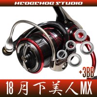 [DAIWA] 18 GEKKABIJIN MX(月下美人 MX) LT1000S-P, LT2000S-P, LT2000S MAX8BB Bearing Upgrade Kit