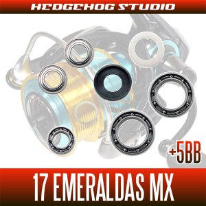 Photo2: [DAIWA] 17 EMERALDAS MX 2508PE,2508PE-H MAX12BB Bearing Upgrade Kit