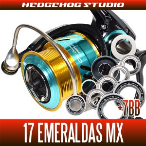 Photo1: [DAIWA] 17 EMERALDAS MX 2508PE-DH,2508PE-H-DH MAX14BB Bearing Upgrade Kit