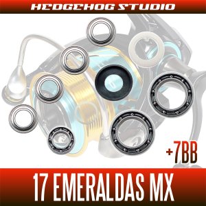 Photo2: [DAIWA] 17 EMERALDAS MX 2508PE-DH,2508PE-H-DH MAX14BB Bearing Upgrade Kit