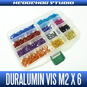 Photo1: Duralumin Screw (M2 x 6mm) - 1 piece