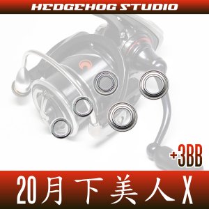 Photo2: 20月下美人-GEKKABIJIN X LT1000S-P, LT2000S-P, LT2000S MAX8BB Full Bearing Tuning Kit