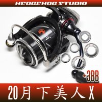 20月下美人-GEKKABIJIN X LT1000S-P, LT2000S-P, LT2000S MAX8BB Full Bearing Tuning Kit