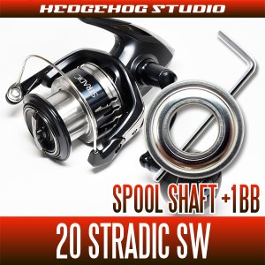 Photo1: [SHIMANO] 20 STRADIC SW 4000HG, 4000XG Spool Shaft 1 Bearing Kit L size