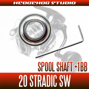 Photo2: [SHIMANO] 20 STRADIC SW 4000HG, 4000XG Spool Shaft 1 Bearing Kit L size