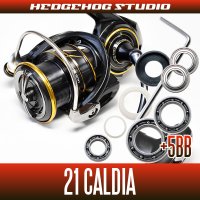 [DAIWA] 21 CALDIA FC LT1000S, FC LT2000S, FC LT2000S-H, FC LT2500S, LT2500, LT2500S, LT2500S-XH, LT3000-CXH, LT3000, LT3000-XH, LT4000S-C, LT4000-CXH MAX11BB Bearing Upgrade Kit