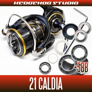 Photo1: [DAIWA] 21 CALDIA FC LT1000S, FC LT2000S, FC LT2000S-H, FC LT2500S, LT2500, LT2500S, LT2500S-XH, LT3000-CXH, LT3000, LT3000-XH, LT4000S-C, LT4000-CXH MAX11BB Bearing Upgrade Kit