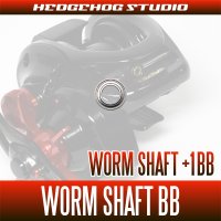 Worm Shaft Bearing Kit for Baitcasting Reel (+1BB)