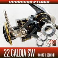 22 CALDIA  SW 6000S-H, 6000D-H MAX 9BB Bearing Upgrade Kit
