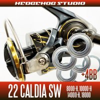 22 CALDIA  SW 8000-H, 10000-H, 14000-H, 18000 MAX 10BB Bearing Upgrade Kit