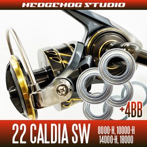 Photo1: 22 CALDIA  SW 8000-H, 10000-H, 14000-H, 18000 MAX 10BB Bearing Upgrade Kit