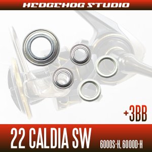 Photo2: 22 CALDIA  SW 6000S-H, 6000D-H MAX 9BB Bearing Upgrade Kit