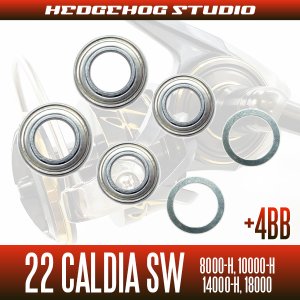 Photo2: 22 CALDIA  SW 8000-H, 10000-H, 14000-H, 18000 MAX 10BB Bearing Upgrade Kit