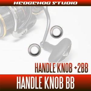 Photo1: [DAIWA] 23 LEXA LT2500, LT2500S, LT2500-XH, LT3000S-C, LT3000S-CXH, LT3000, LT3000-XH, LT4000-C, LT4000-CXH, LT5000-C, LT5000-CXH, LT6000D-H Handle Knob Bearing Kit (+2BB)