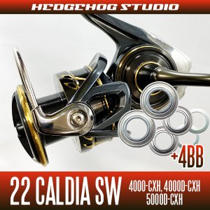 Photo1: 22 CALDIA  SW 4000-CXH, 4000D-CXH, 5000D-CXH MAX 10BB Bearing Upgrade Kit